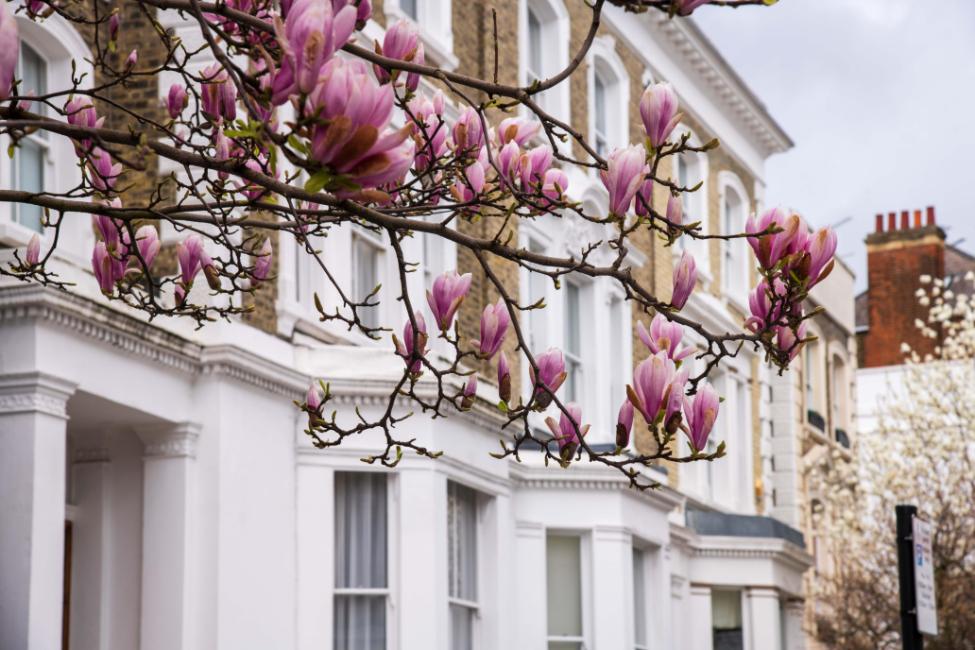 Great News for Pinner Landlords This Summer