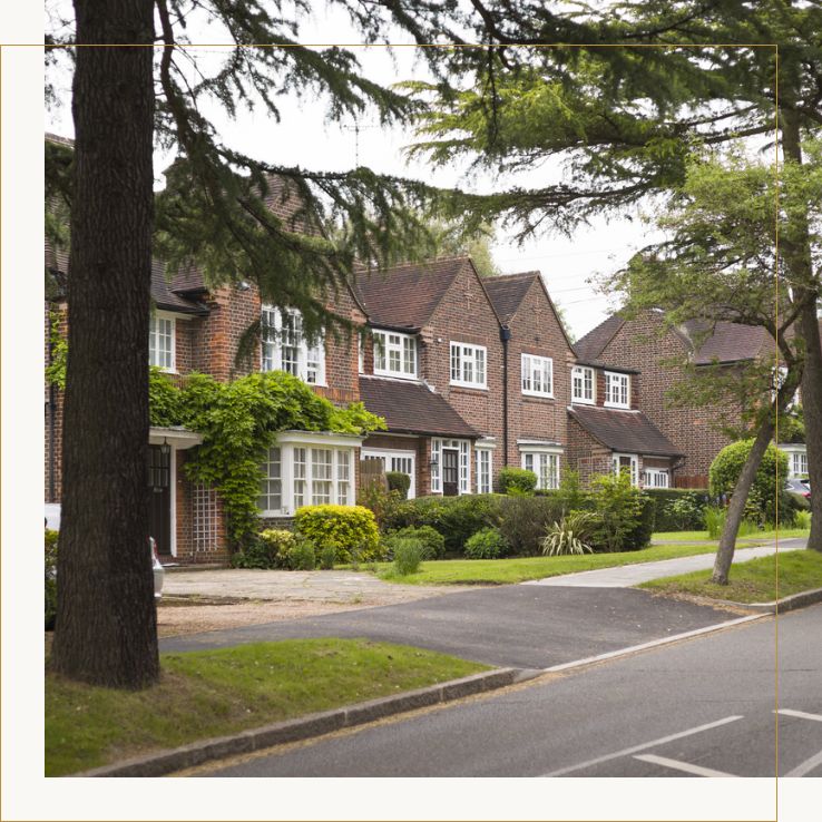 About Rawlinson Gold Pinner