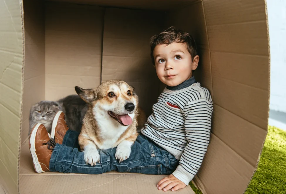 Why Renting in Pinner Remains a Brilliant Option for Families in 2026